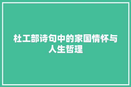 杜工部诗句中的家国情怀与人生哲理