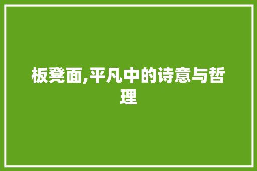 板凳面,平凡中的诗意与哲理