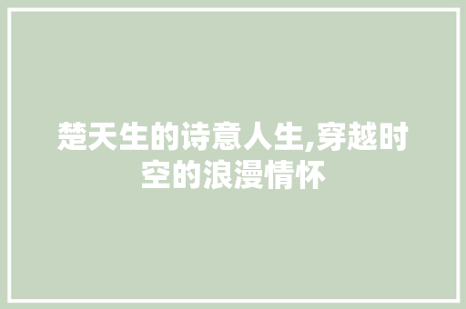楚天生的诗意人生,穿越时空的浪漫情怀 采访稿