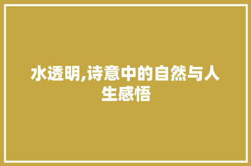 水透明,诗意中的自然与人生感悟