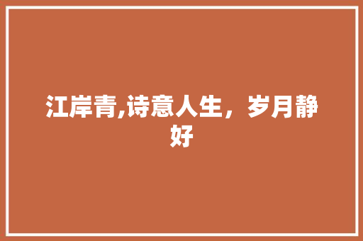 江岸青,诗意人生，岁月静好 工作报告