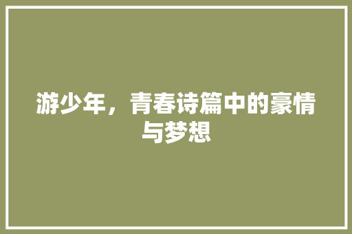游少年，青春诗篇中的豪情与梦想