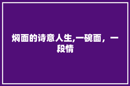 焖面的诗意人生,一碗面，一段情