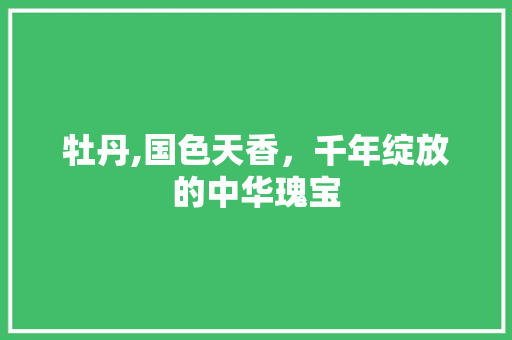 牡丹,国色天香，千年绽放的中华瑰宝