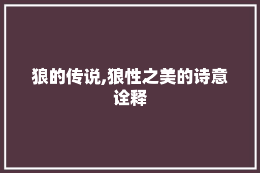 狼的传说,狼性之美的诗意诠释