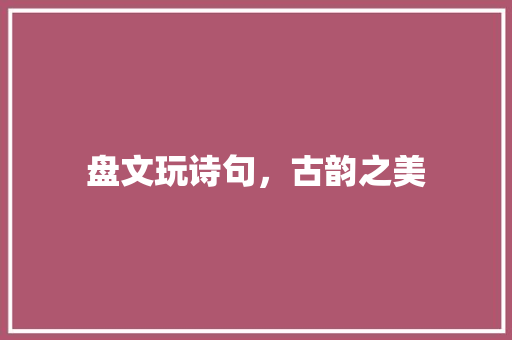 盘文玩诗句，古韵之美