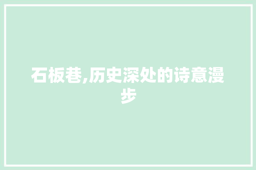石板巷,历史深处的诗意漫步 商业文稿