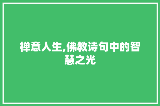 禅意人生,佛教诗句中的智慧之光