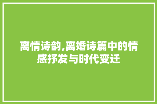 离情诗韵,离婚诗篇中的情感抒发与时代变迁