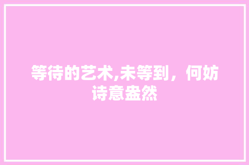 等待的艺术,未等到，何妨诗意盎然