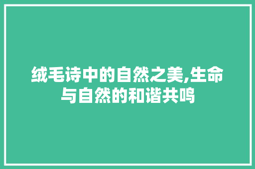 绒毛诗中的自然之美,生命与自然的和谐共鸣