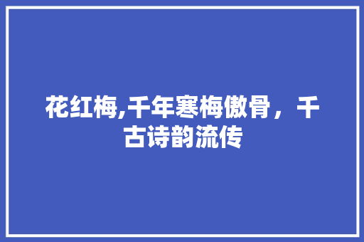 花红梅,千年寒梅傲骨，千古诗韵流传
