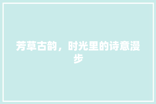 芳草古韵，时光里的诗意漫步