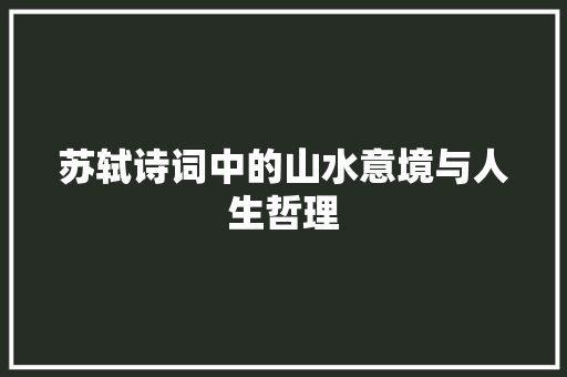 苏轼诗词中的山水意境与人生哲理