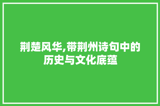 荆楚风华,带荆州诗句中的历史与文化底蕴