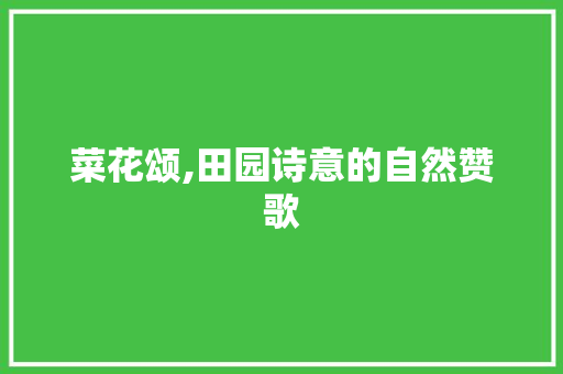 菜花颂,田园诗意的自然赞歌
