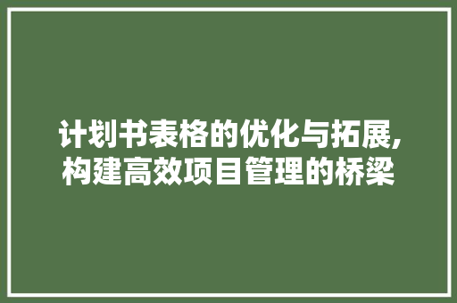 计划书表格的优化与拓展,构建高效项目管理的桥梁