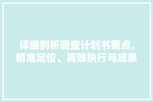 详细剖析调查计划书要点,精准定位、高效执行与成果介绍