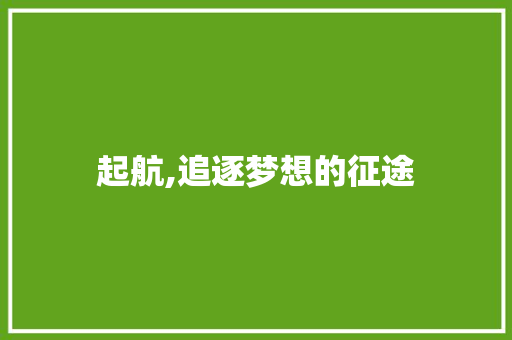 起航,追逐梦想的征途