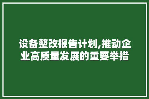 设备整改报告计划,推动企业高质量发展的重要举措