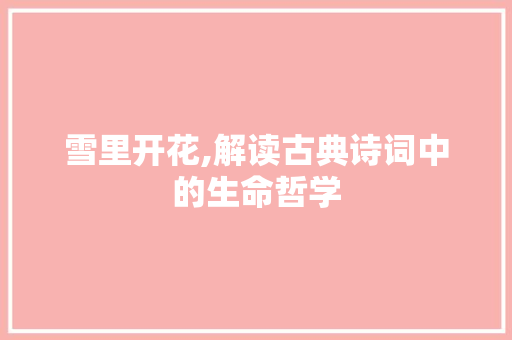 雪里开花,解读古典诗词中的生命哲学