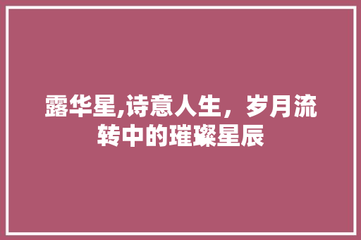 露华星,诗意人生，岁月流转中的璀璨星辰