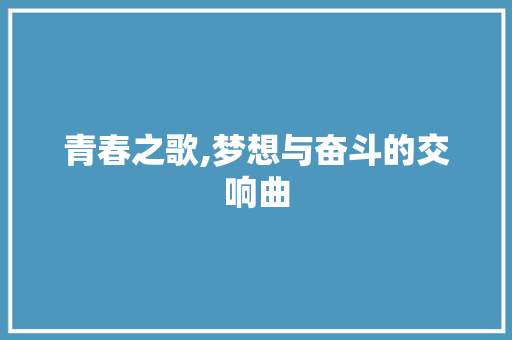 青春之歌,梦想与奋斗的交响曲