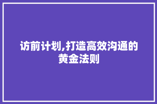 访前计划,打造高效沟通的黄金法则 工作报告