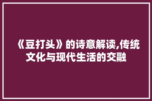 《豆打头》的诗意解读,传统文化与现代生活的交融