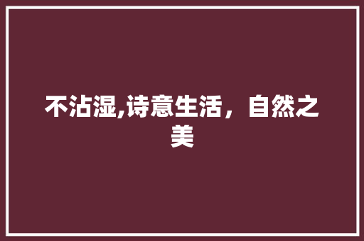 不沾湿,诗意生活，自然之美 工作报告