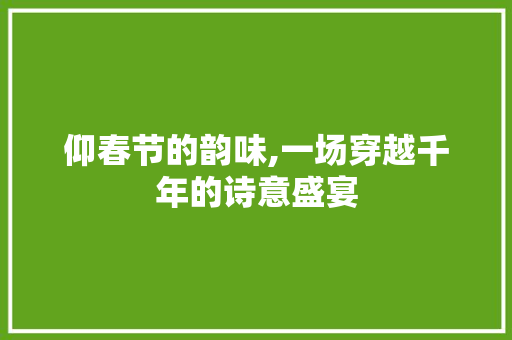 仰春节的韵味,一场穿越千年的诗意盛宴
