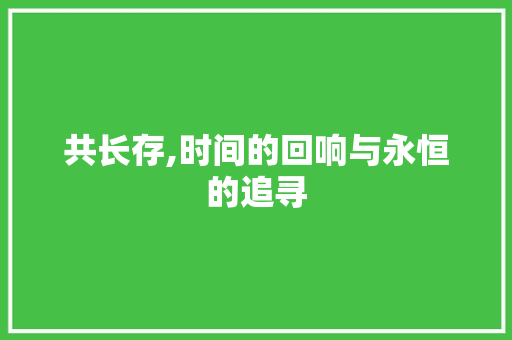 共长存,时间的回响与永恒的追寻