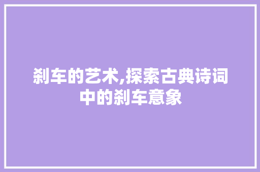 刹车的艺术,探索古典诗词中的刹车意象