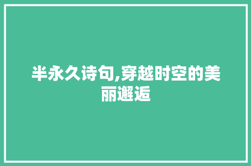 半永久诗句,穿越时空的美丽邂逅