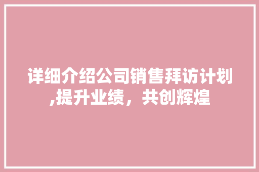 详细介绍公司销售拜访计划,提升业绩，共创辉煌