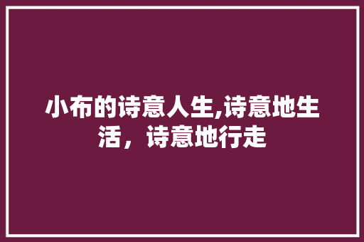 小布的诗意人生,诗意地生活，诗意地行走