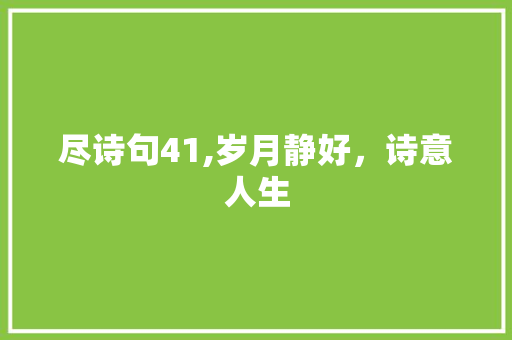 尽诗句41,岁月静好，诗意人生