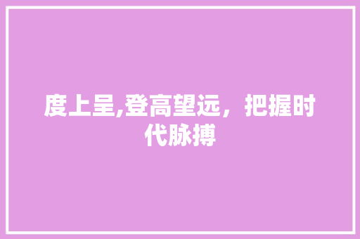 度上呈,登高望远，把握时代脉搏