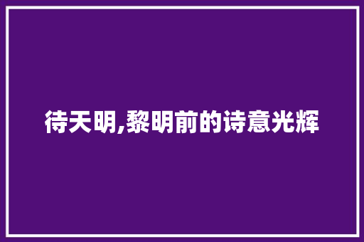 待天明,黎明前的诗意光辉