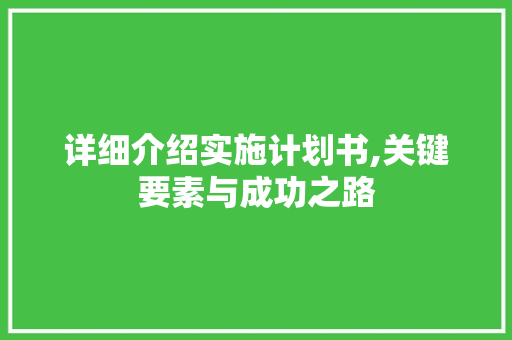详细介绍实施计划书,关键要素与成功之路