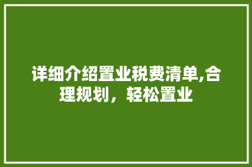 详细介绍置业税费清单,合理规划，轻松置业