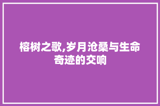 榕树之歌,岁月沧桑与生命奇迹的交响 生活感悟
