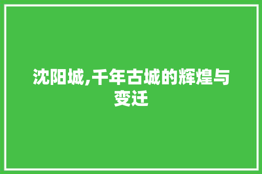 沈阳城,千年古城的辉煌与变迁 工作类