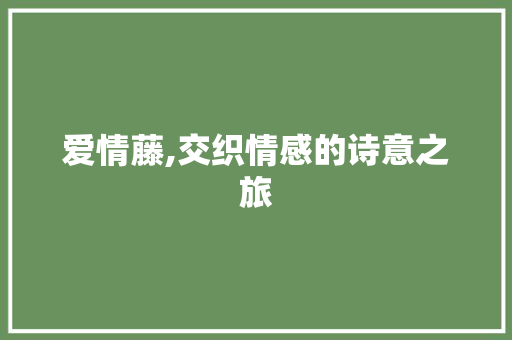 爱情藤,交织情感的诗意之旅