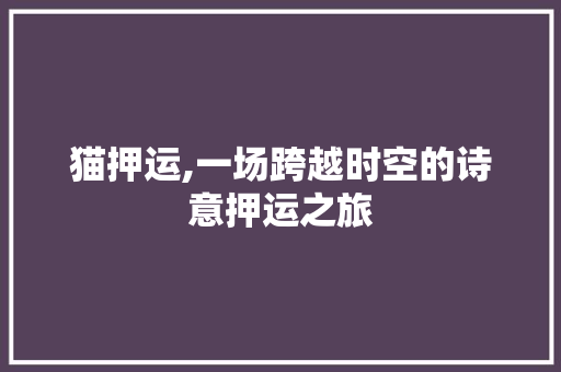 猫押运,一场跨越时空的诗意押运之旅
