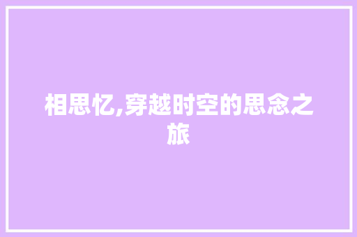 相思忆,穿越时空的思念之旅