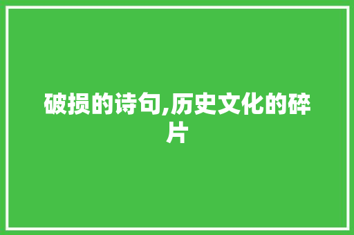 破损的诗句,历史文化的碎片