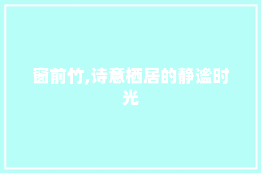 窗前竹,诗意栖居的静谧时光
