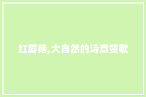 红蘑菇,大自然的诗意赞歌