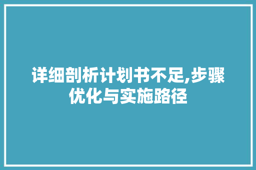详细剖析计划书不足,步骤优化与实施路径 采访稿